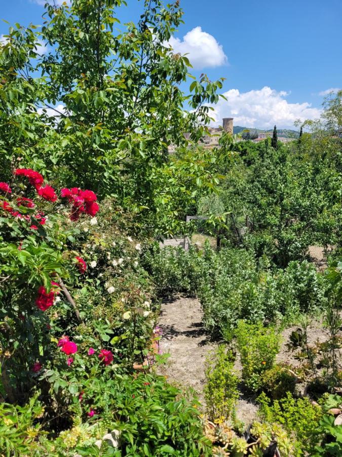 Comfort, Parcheggio E Balcone Su Tricarico In Basilicata, Io Sono Qui ภายนอก รูปภาพ